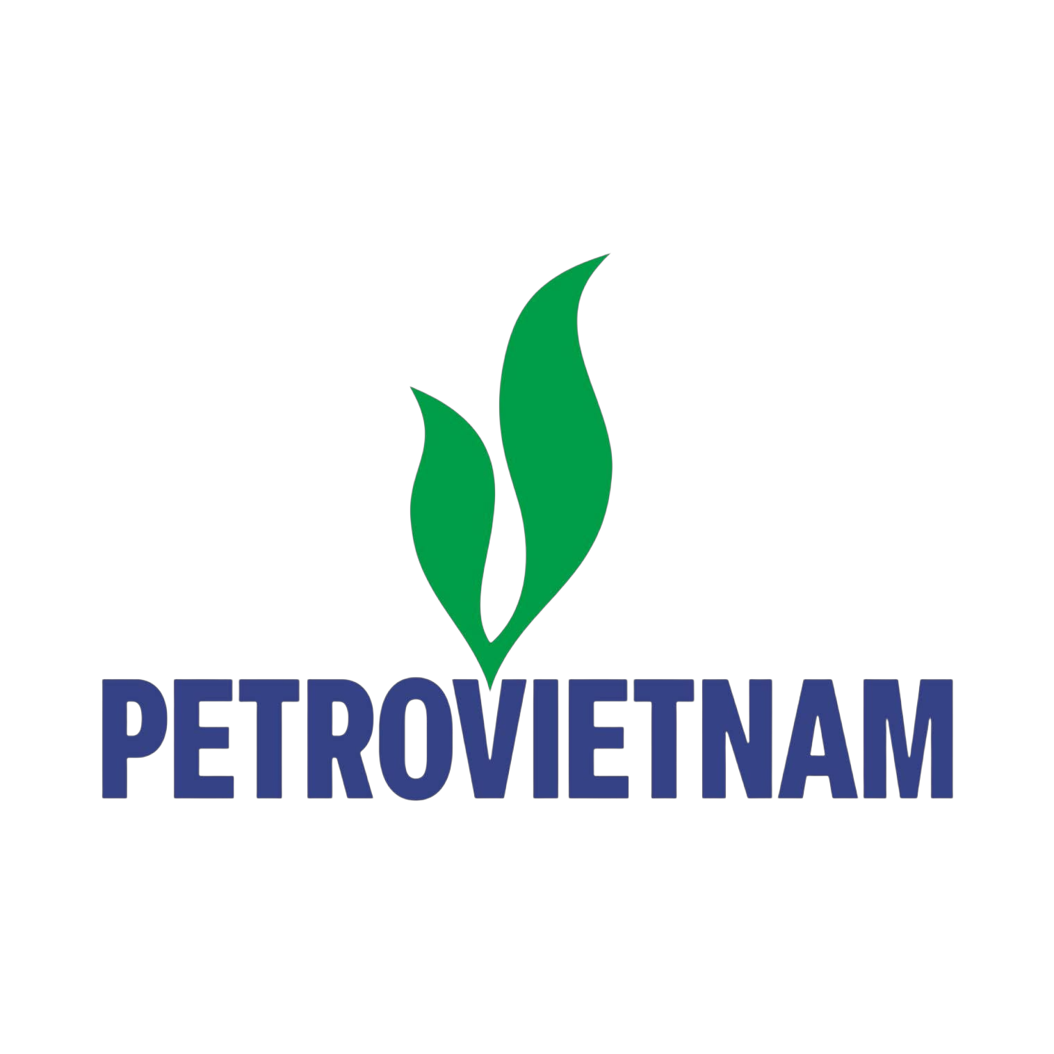 Tập đoàn Công nghiệp - Năng lượng Quốc gia Việt Nam